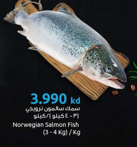 available at مركز سلطان in الكويت - محافظة الأحمدي