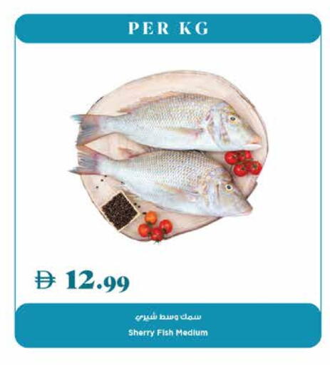available at Trolleys Supermarket in UAE - Dubai