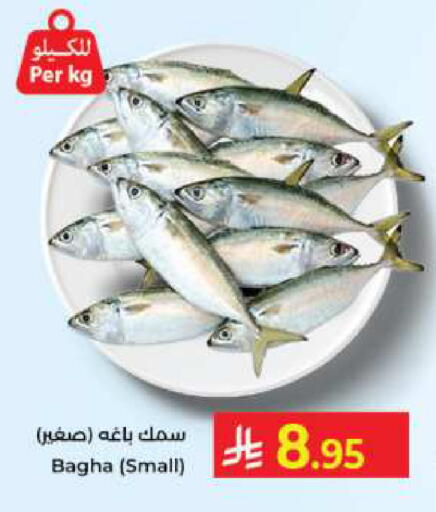 available at كبايان هايبرماركت in مملكة العربية السعودية, السعودية, سعودية - جدة