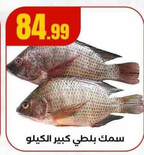 available at MartVille in Egypt - Cairo
