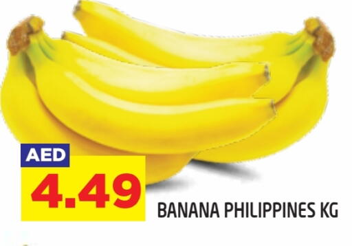 موز from Philippines available at سنابل بني ياس in الإمارات العربية المتحدة , الامارات - ٱلْعَيْن‎