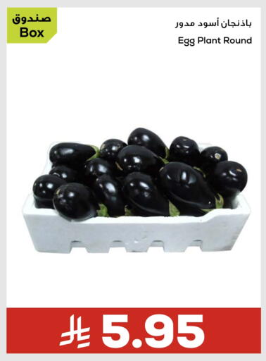 available at أسواق أسترا in مملكة العربية السعودية, السعودية, سعودية - تبوك