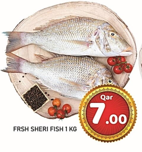 available at باشن هايبر ماركت in قطر - الوكرة