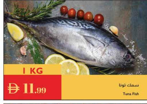 Tuna available at Istanbul Supermarket in UAE - Dubai