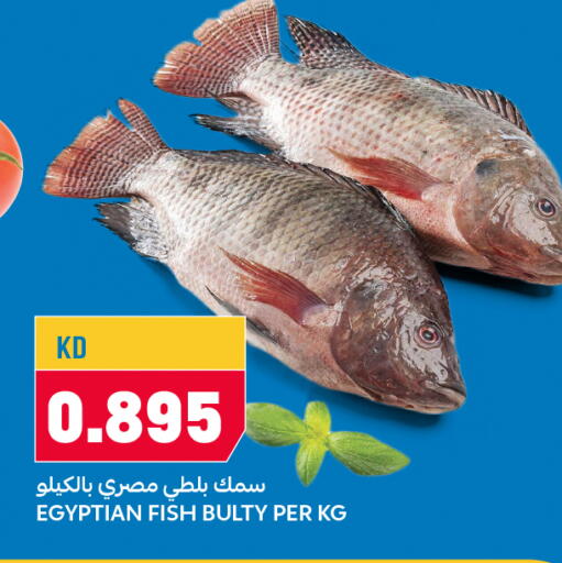 available at أونكوست in الكويت - محافظة الأحمدي