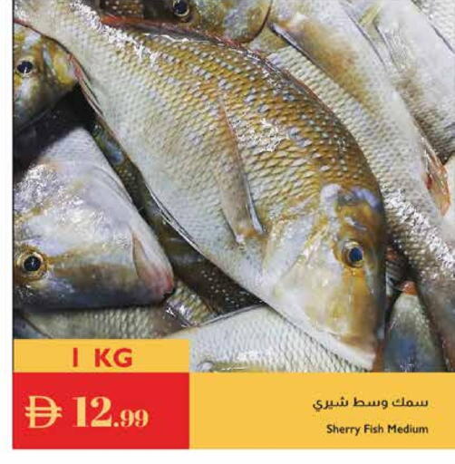 available at Istanbul Supermarket in UAE - Dubai