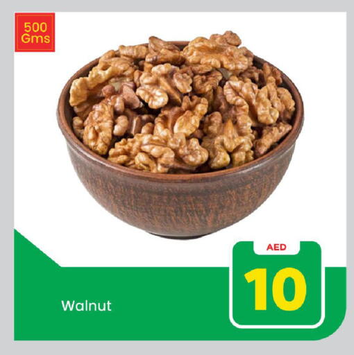 available at مارك & سيف in الإمارات العربية المتحدة , الامارات - الشارقة / عجمان