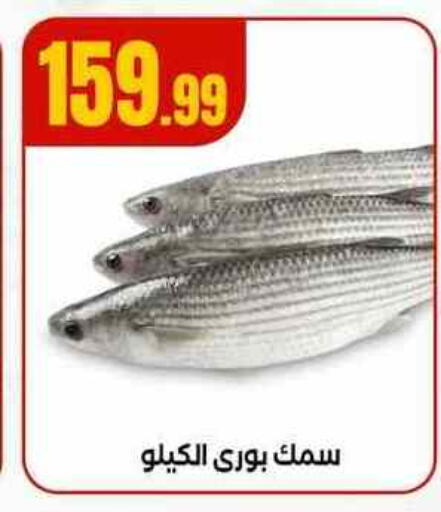 available at MartVille in Egypt - Cairo