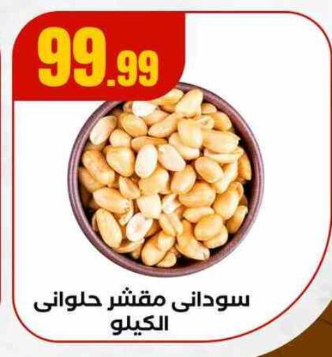 available at المحلاوي ستورز in Egypt - القاهرة