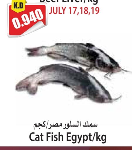 available at 4 سيف مارت in الكويت - مدينة الكويت