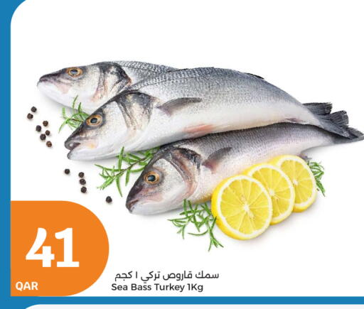available at سيتي هايبرماركت in قطر - الوكرة