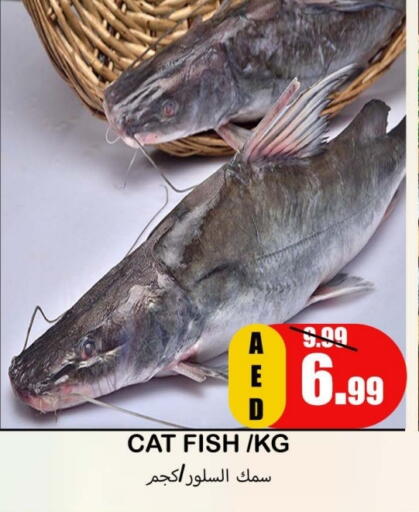 available at سوق المبارك هايبرماركت in الإمارات العربية المتحدة , الامارات - الشارقة / عجمان