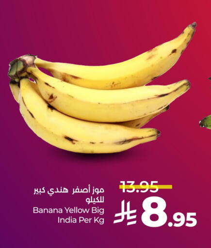 موز from India available at لولو هايبرماركت in مملكة العربية السعودية, السعودية, سعودية - الخبر‎