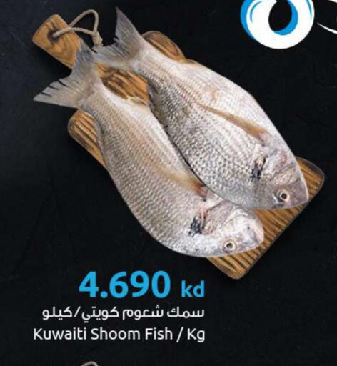 available at مركز سلطان in الكويت - محافظة الأحمدي