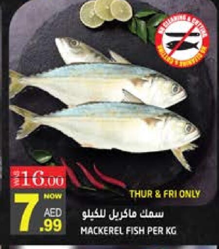 available at هاشم هايبرماركت in الإمارات العربية المتحدة , الامارات - الشارقة / عجمان