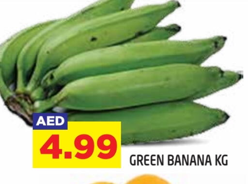 Banana available at سنابل بني ياس in الإمارات العربية المتحدة , الامارات - ٱلْعَيْن‎