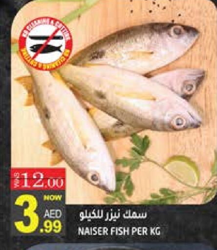 available at هاشم هايبرماركت in الإمارات العربية المتحدة , الامارات - الشارقة / عجمان
