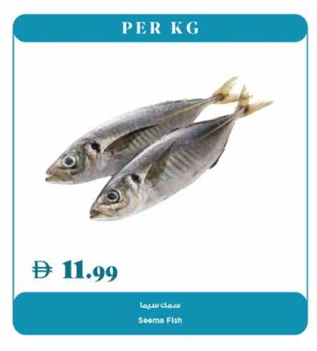 available at Trolleys Supermarket in UAE - Dubai