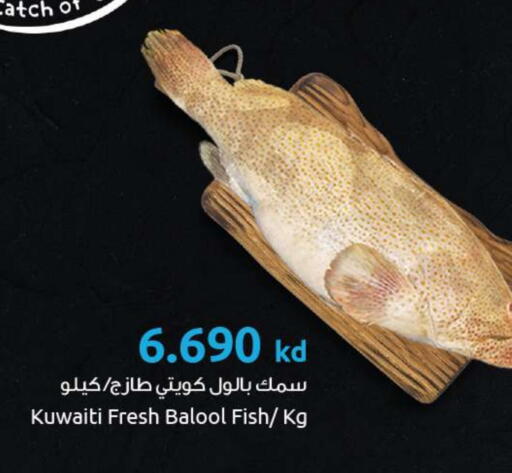 available at مركز سلطان in الكويت - محافظة الأحمدي