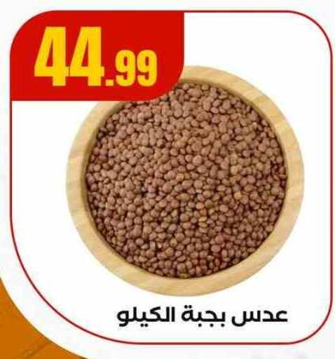 available at مارت فيل in Egypt - القاهرة