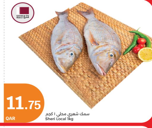 available at سيتي هايبرماركت in قطر - الشمال