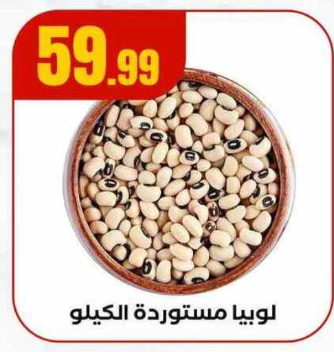 available at مارت فيل in Egypt - القاهرة