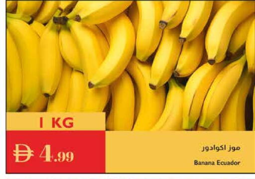 موز from Ecuador available at إسطنبول سوبرماركت in الإمارات العربية المتحدة , الامارات - ٱلْعَيْن‎