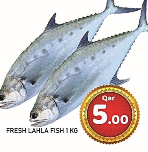 available at باشن هايبر ماركت in قطر - الوكرة