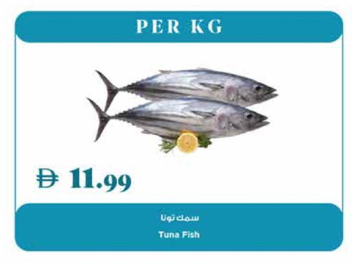 Tuna available at Trolleys Supermarket in UAE - Dubai