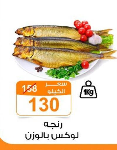 available at جملة ماركت in Egypt - القاهرة