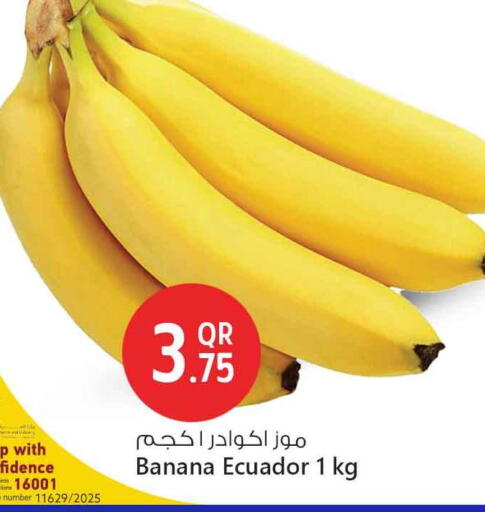 موز from Ecuador available at سفاري هايبر ماركت in قطر - الوكرة