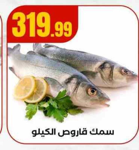 available at MartVille in Egypt - Cairo
