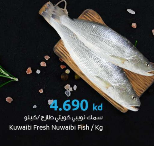 available at مركز سلطان in الكويت - محافظة الأحمدي