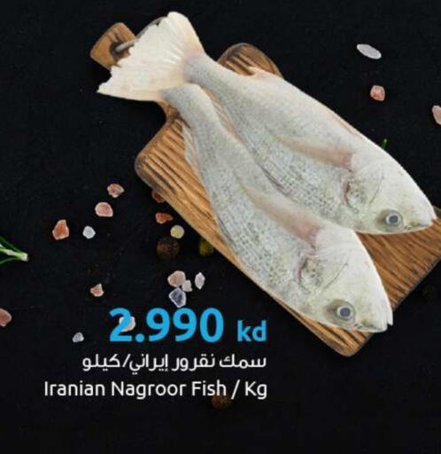 available at مركز سلطان in الكويت - محافظة الأحمدي
