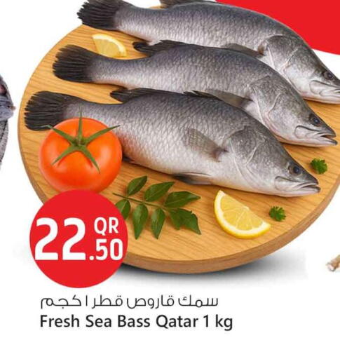 available at سفاري هايبر ماركت in قطر - الوكرة