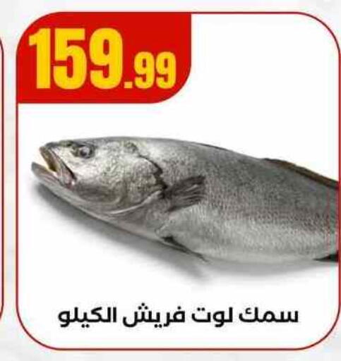 available at MartVille in Egypt - Cairo