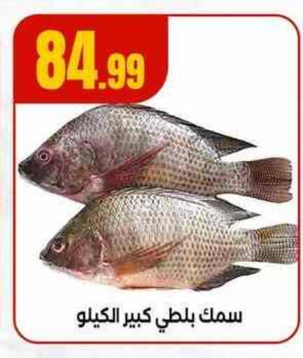 available at MartVille in Egypt - Cairo