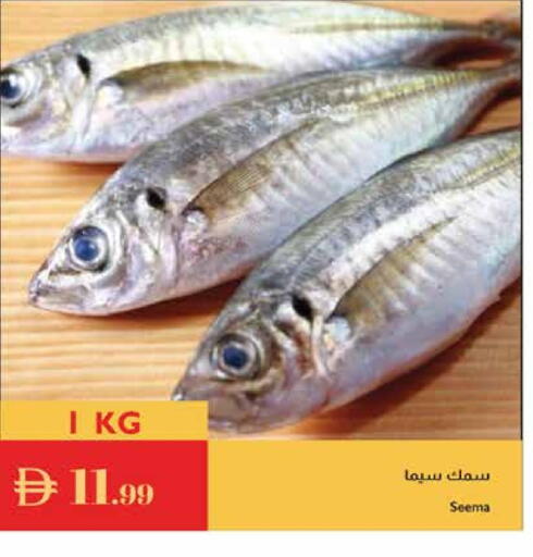 available at Istanbul Supermarket in UAE - Dubai