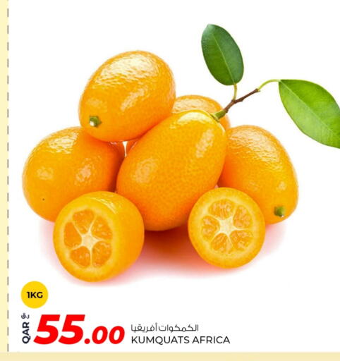 available at روابي هايبرماركت in قطر - الشمال