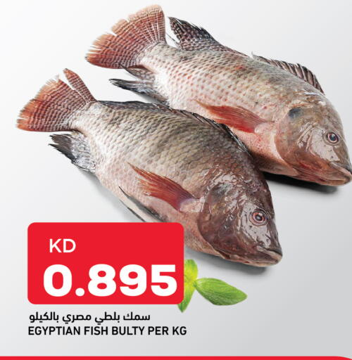 available at أونكوست in الكويت - محافظة الأحمدي