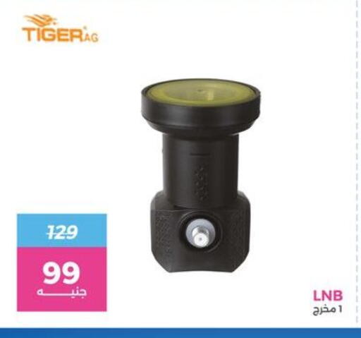 available at رنين in Egypt - القاهرة