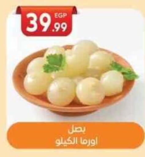 available at El mhallawy Sons in Egypt - Cairo