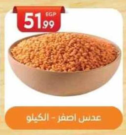 available at El mhallawy Sons in Egypt - Cairo