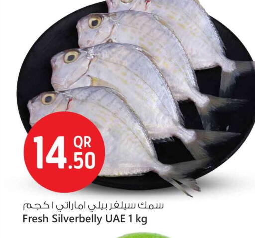 available at Safari Hypermarket in Qatar - Al Rayyan