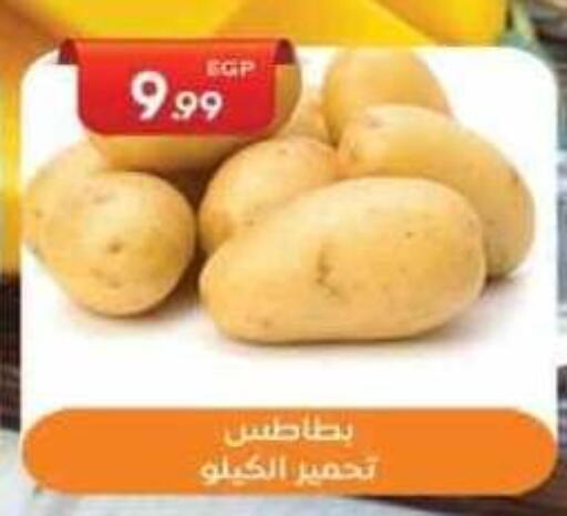 بطاطا available at أولاد المحاوى in Egypt - القاهرة
