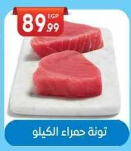 Tuna - Canned available at El mhallawy Sons in Egypt - Cairo