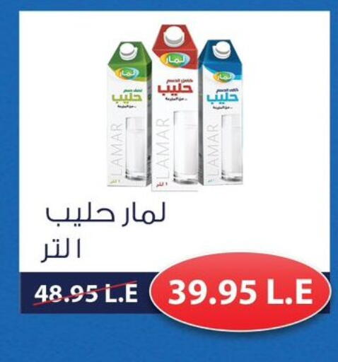 available at اكسبشن ماركت in Egypt - القاهرة