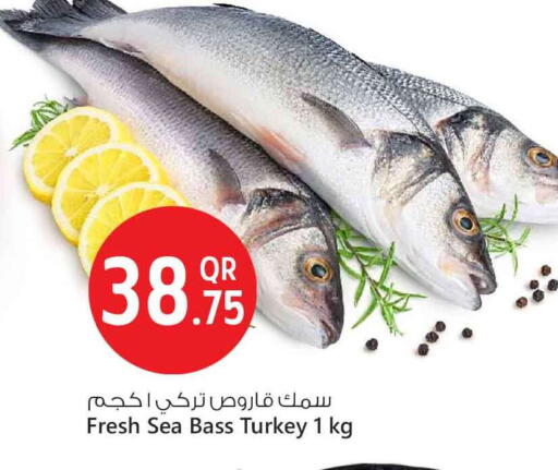 available at Safari Hypermarket in Qatar - Al Rayyan
