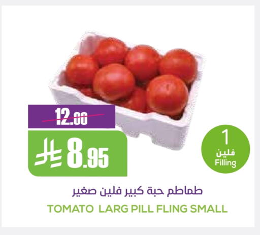 Tomato available at Sapt in KSA, Saudi Arabia, Saudi - Buraidah