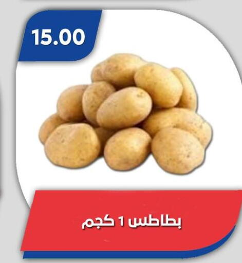 بطاطا available at باسم ماركت in Egypt - القاهرة